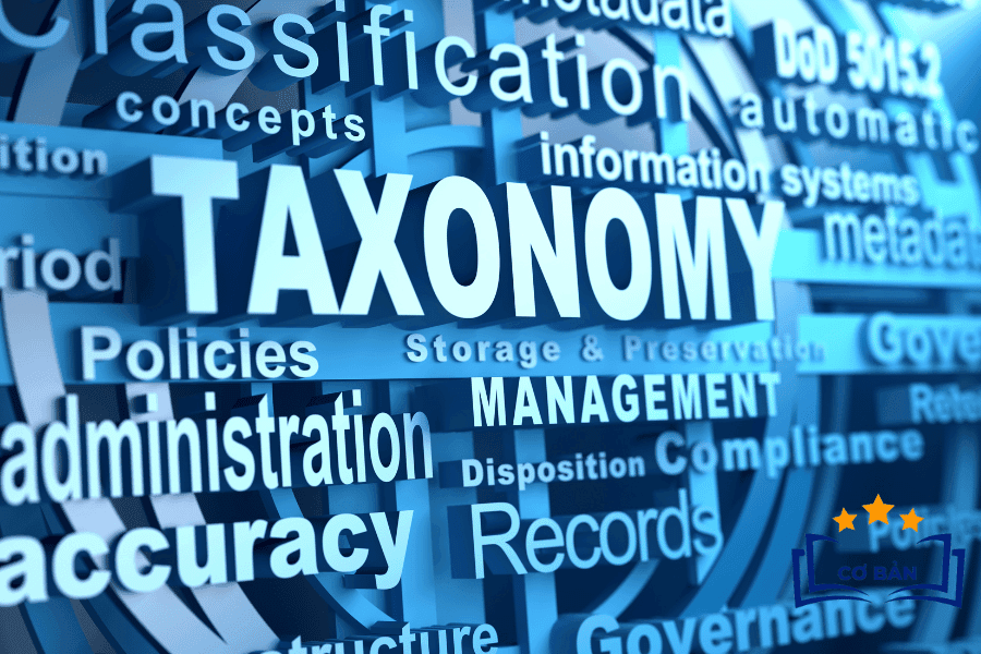 Taxonomy trong WordPress