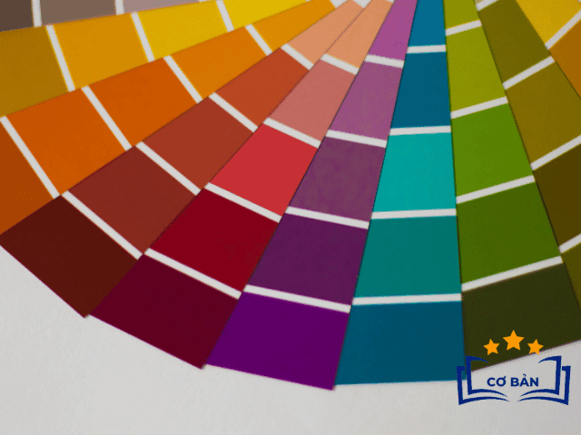 Công Cụ Tạo Bảng Màu